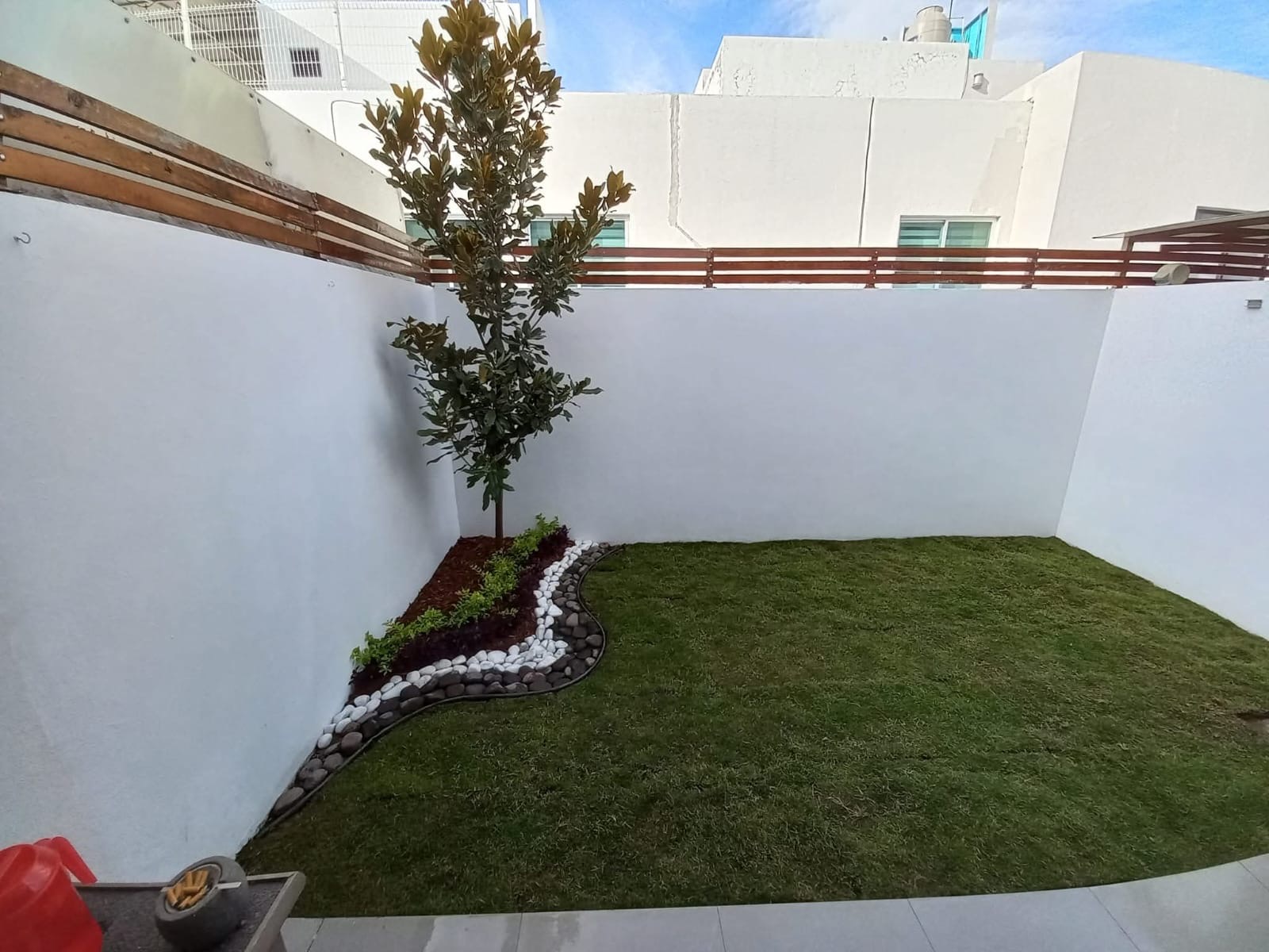 Patio residencial con árbol