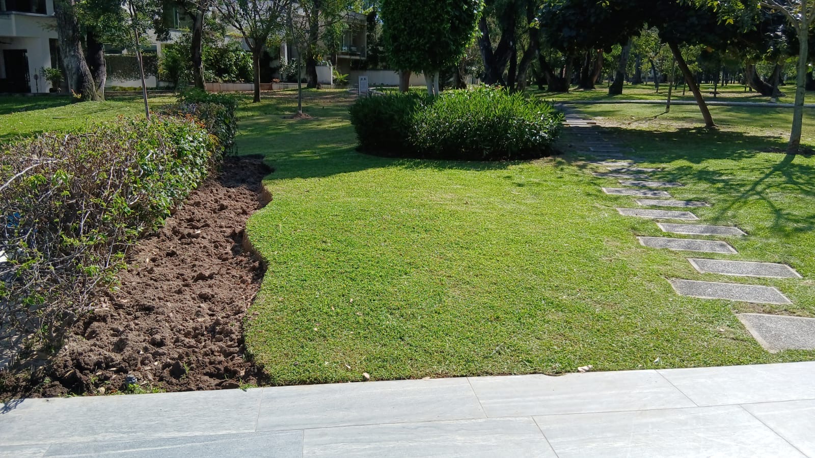 Áreas verdes fraccionamiento